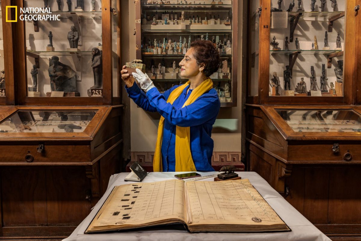 พิพิธภัณฑ์แกรนด์อียิปต์, ตุตันคามุน, อียิปต์,