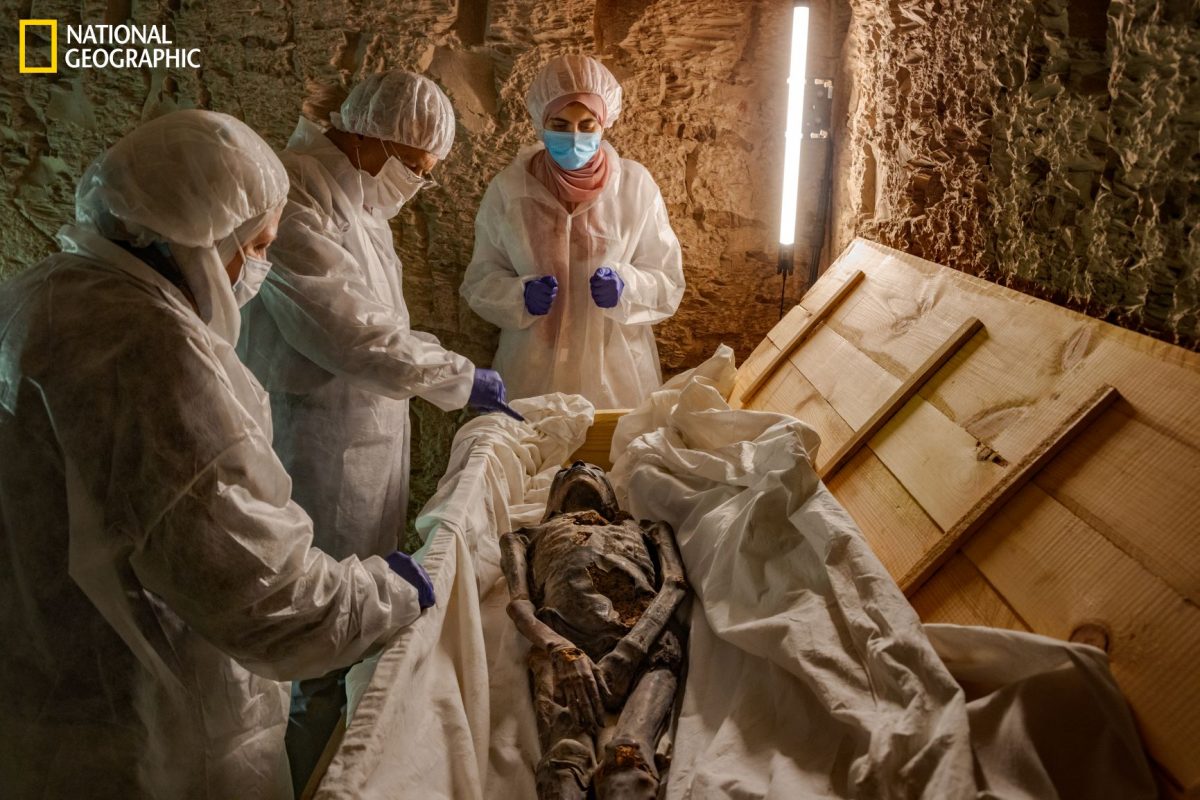 พิพิธภัณฑ์แกรนด์อียิปต์, ตุตันคามุน, อียิปต์,