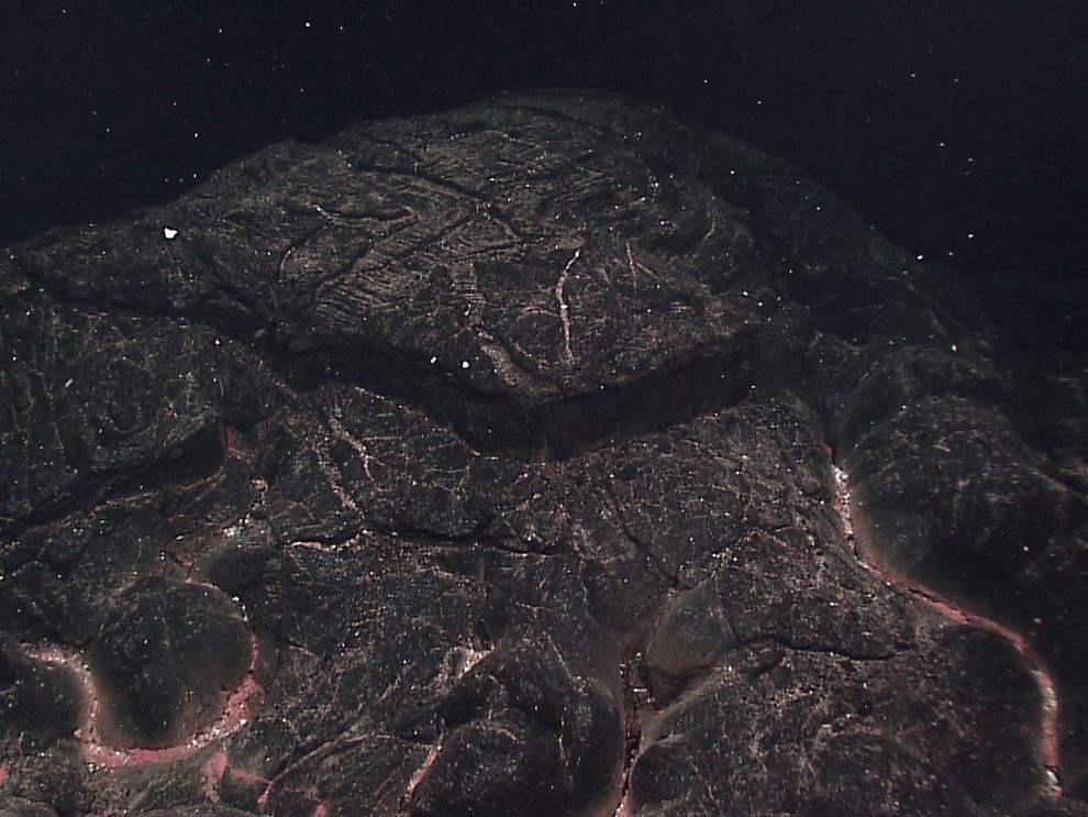 มหาสมุทร, การเคลื่อนตัวของแผ่นเปลือกโลก, การขยายตัวของพื้นมหาสมุทร, การเปลี่ยนแปลงทางธรณี, การเกิดแผ่นดิน, ธรณีสัณฐาน, ธรณีวิทยา