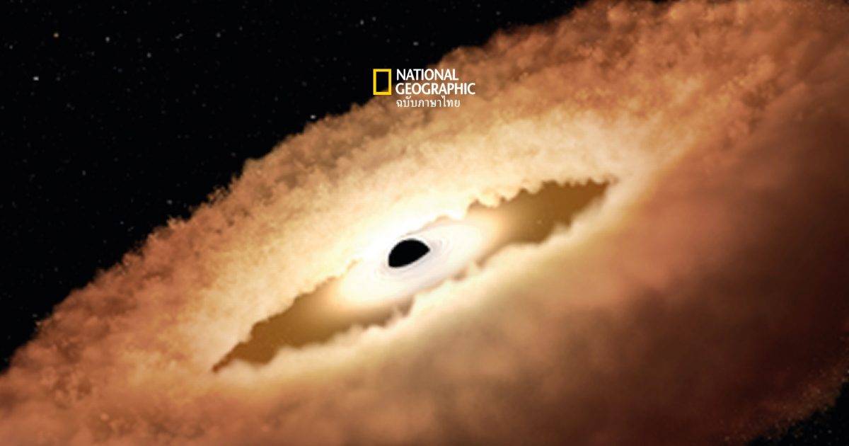 หลุมดำ กลืนดาวฤกษ์ ถ่ายโดย กล้องฮับเบิล กระชากดวงดาวเป็นรูปโดนัท