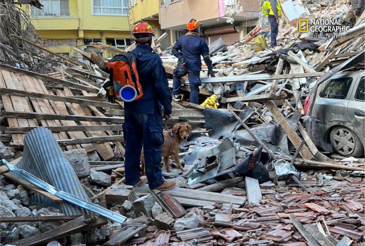สุนัขกู้ภัยไทย, แผ่นดินไหวตุรกี