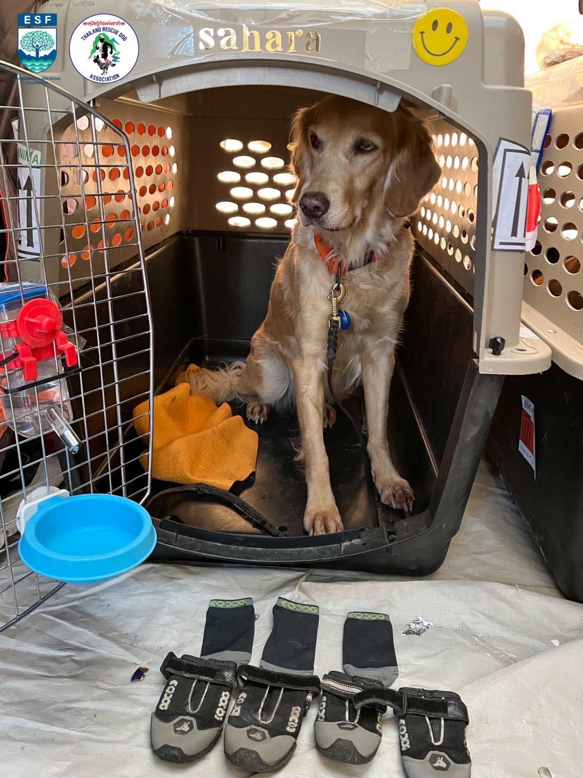 สุนัขกู้ภัยไทย, แผ่นดินไหวตุรกี