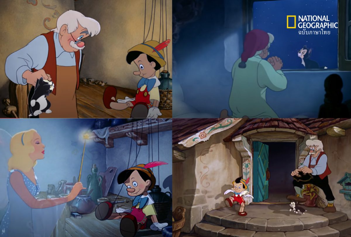 พินอคคิโอ