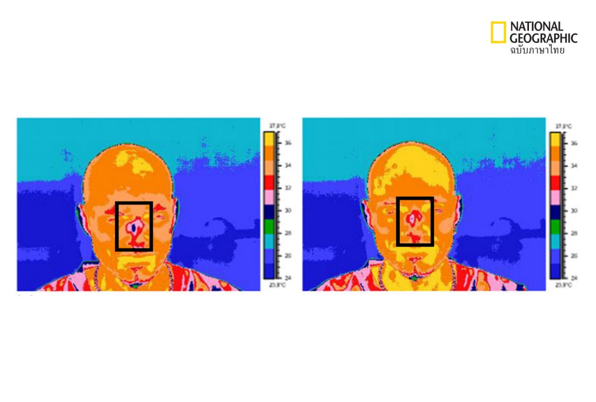 จมูก คนโกหก เปลี่ยนอุณหภูมิ