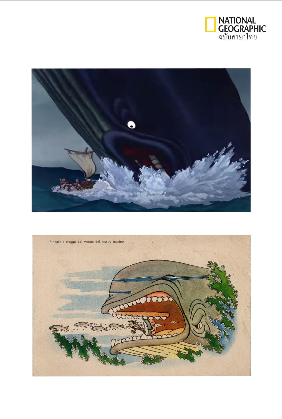 Monstro Whale Pinnochio