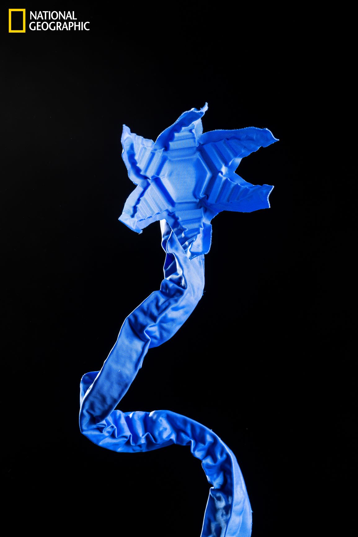 โอริกามิ