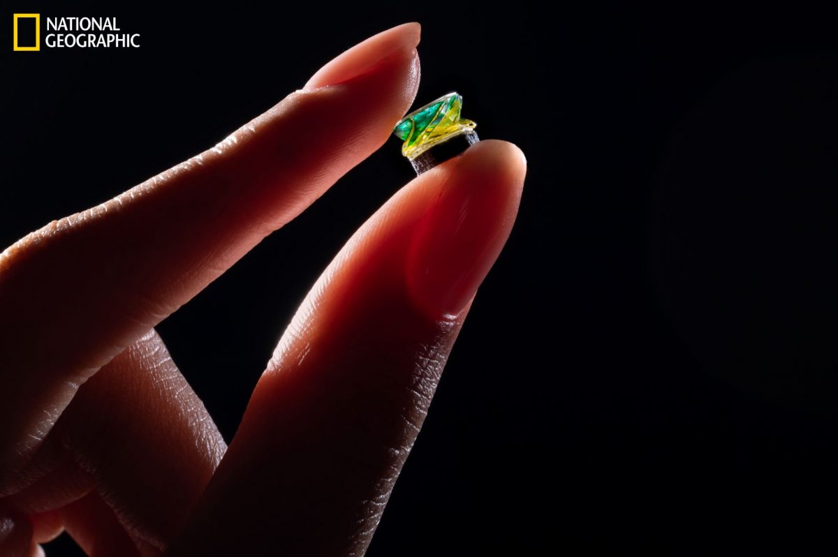 โอริกามิ