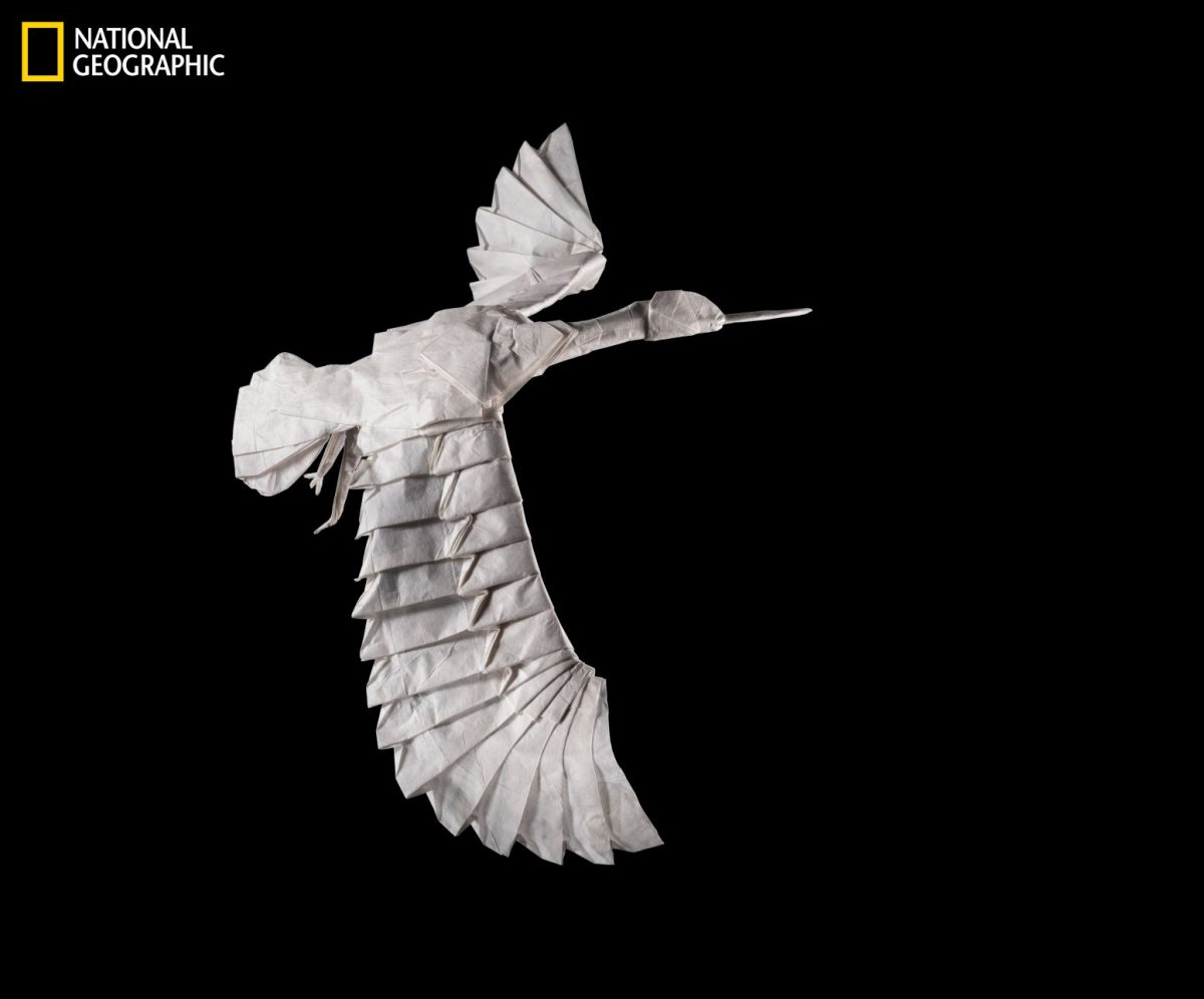 โอริกามิ