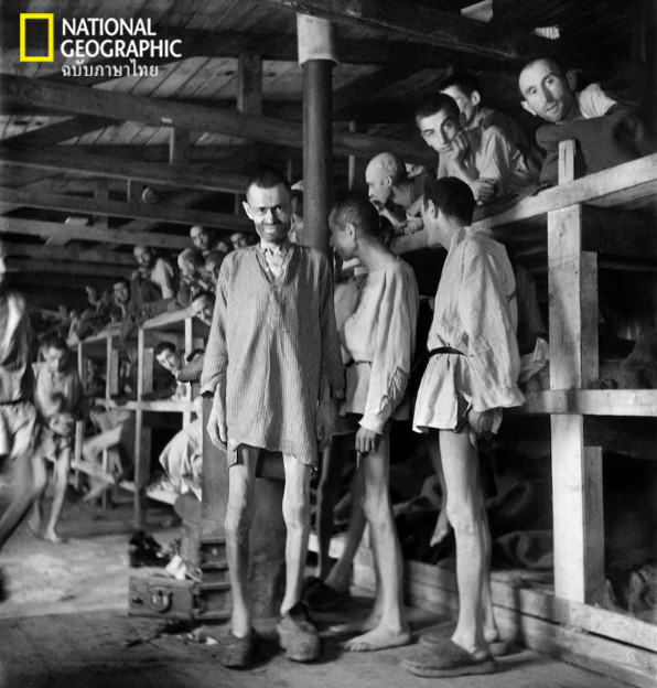 การฆ่าล้างเผ่าพันธุ์ชาวยิว, การฆ่าล้างเผ่าพันธุ์, สงครามโลกครั้งที่สอง, ชาวยิว