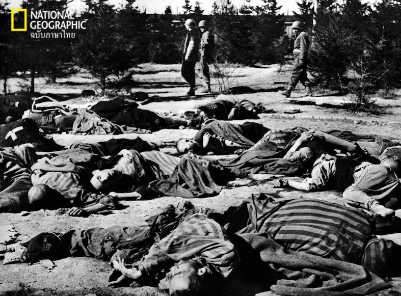 การฆ่าล้างเผ่าพันธุ์ชาวยิว, การฆ่าล้างเผ่าพันธุ์, สงครามโลกครั้งที่สอง, ชาวยิว