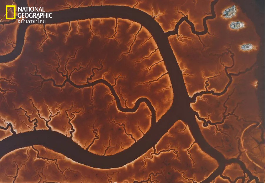 ภาพถ่ายแห่งปี, พื้นที่ชุ่มน้ำ