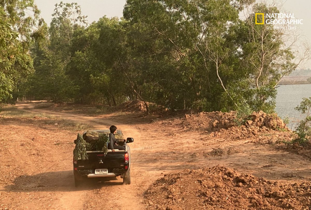 ช่างภาพสัตว์ป่า, ช่างภาพ, จอมทัพ เจริญลาภนำชัย