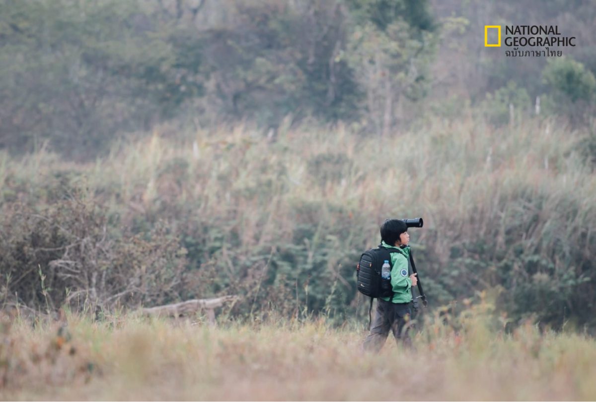 ช่างภาพสัตว์ป่า, ช่างภาพ, จอมทัพ เจริญลาภนำชัย