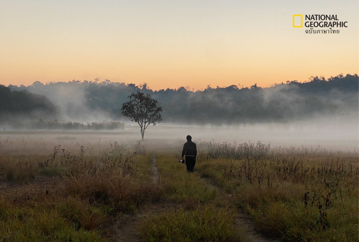 ช่างภาพสัตว์ป่า, ช่างภาพ, จอมทัพ เจริญลาภนำชัย