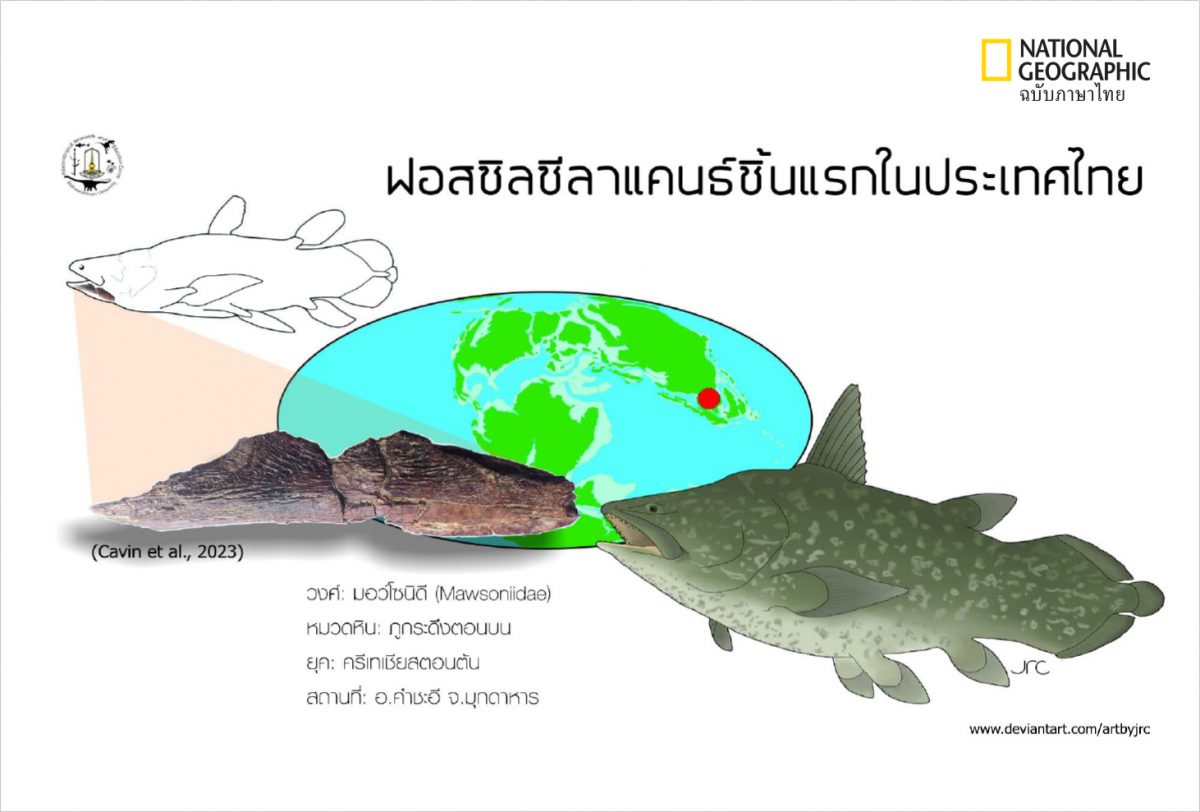 ปลาซีลาแคนธ์, ฟอสซิล