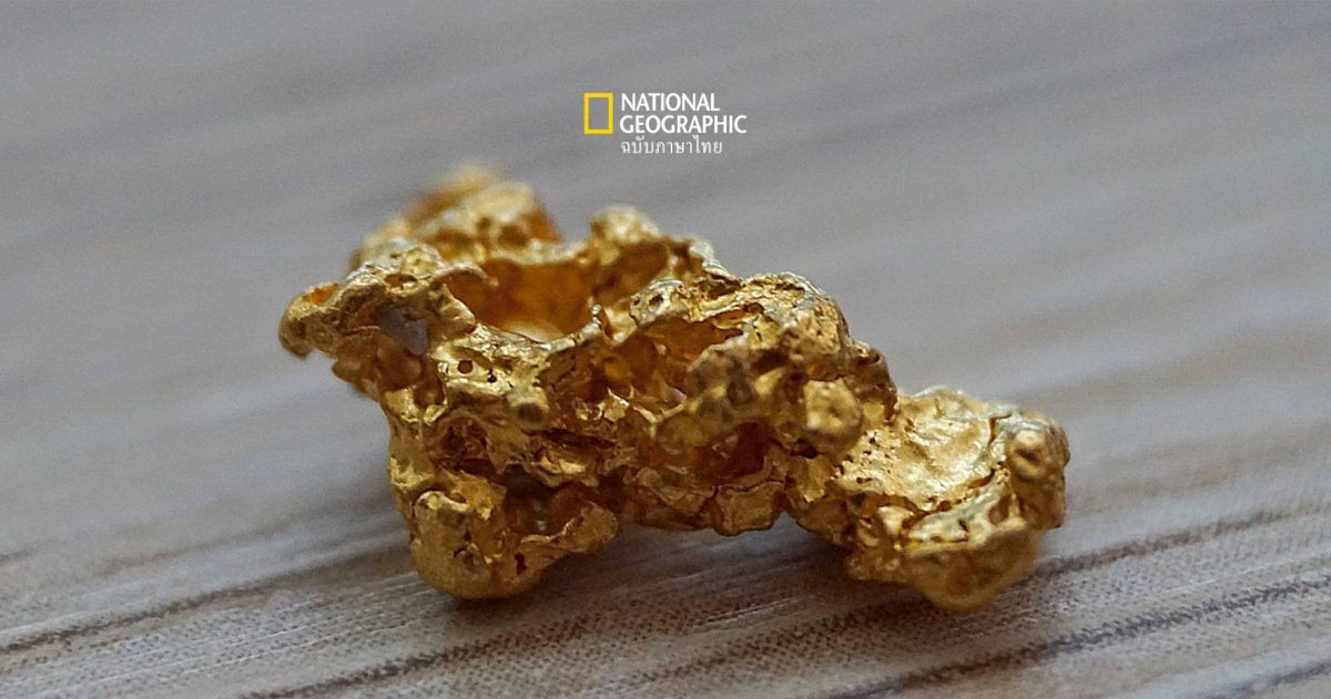 นักขุดทองสมัครเล่นที่ออสเตรเลีย เจอ ทองคำ ก้อนขนาดยักษ์หนัก 4.6 กิโลกรัม มูลค่า 5.75 ล้านบาท โดยบังเอิญ!