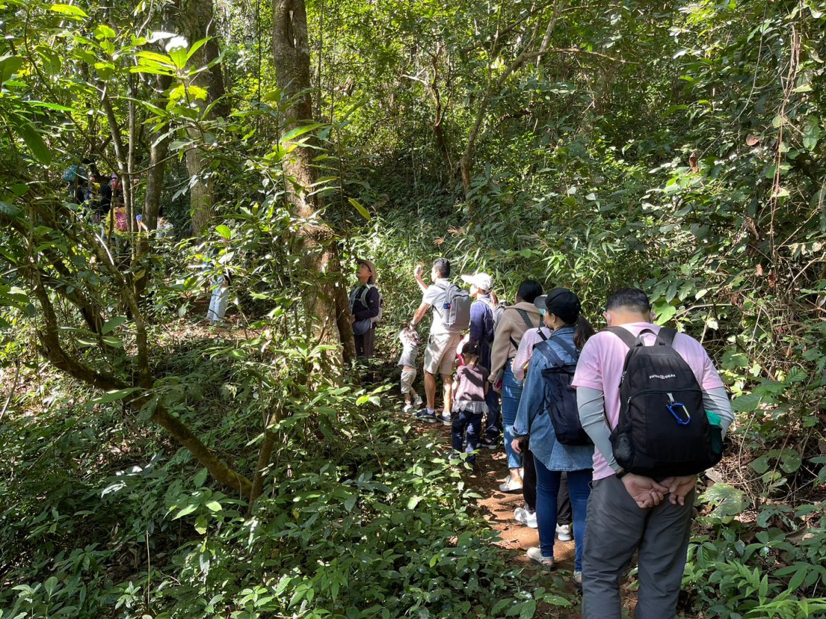 ดอยสุเทพวิทยา, ดอยสุเทพ