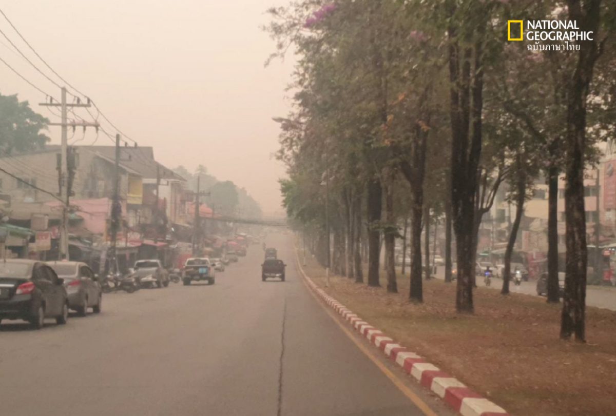 ฝุ่น PM2.5