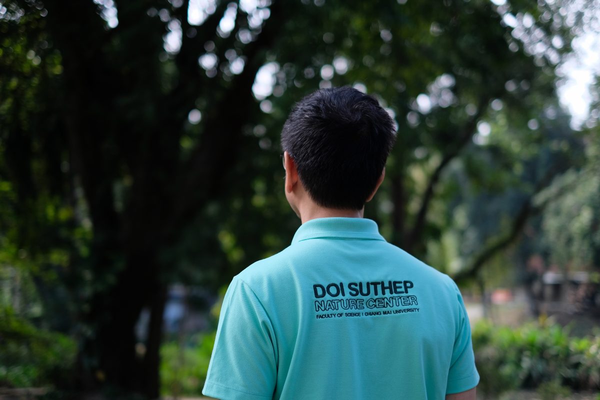 ดอยสุเทพวิทยา