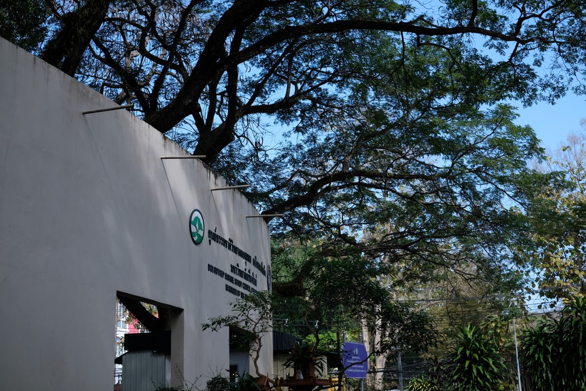 ดอยสุเทพวิทยา