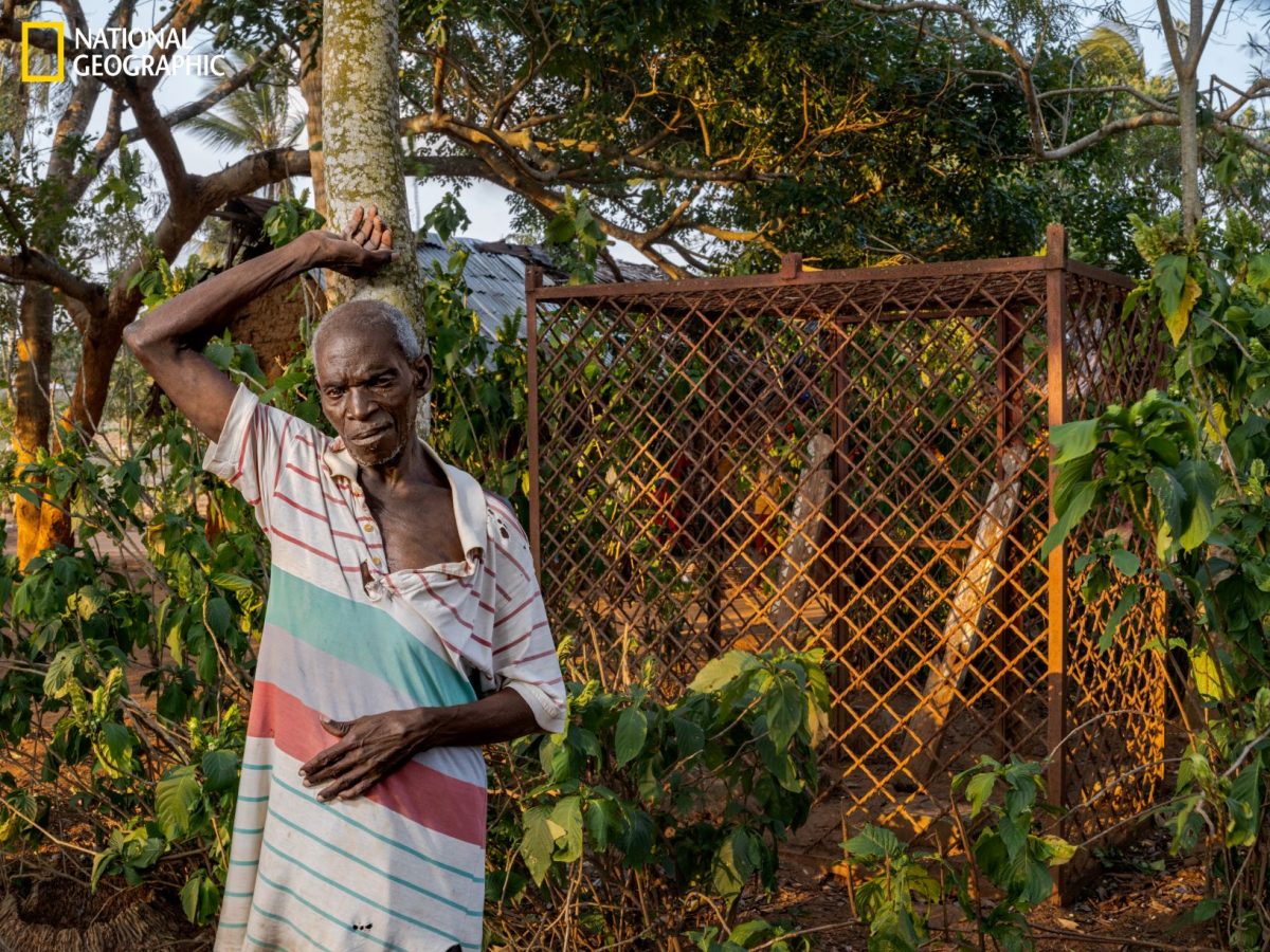สมบัติแผ่นดิน, เคนยา