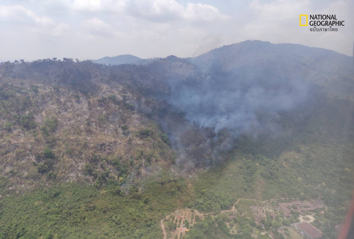 ไฟป่าเขาแหลม