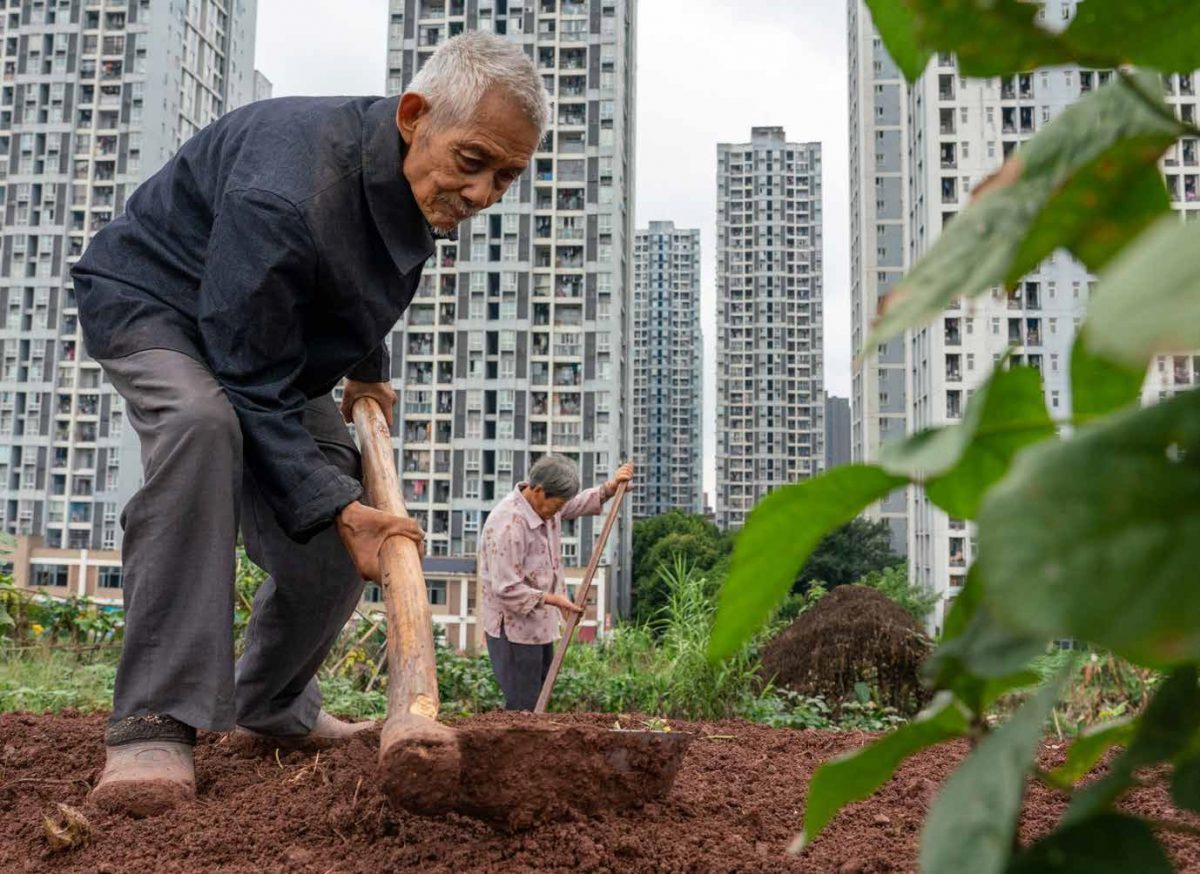 ประชากรจีน, คนจีน