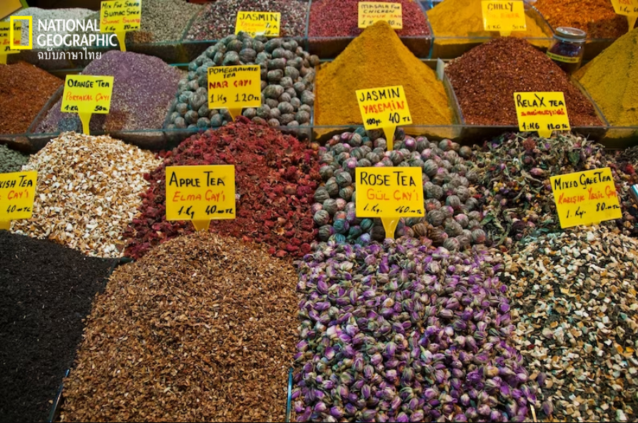 ชา, อิสตันบูล, ตุรกี