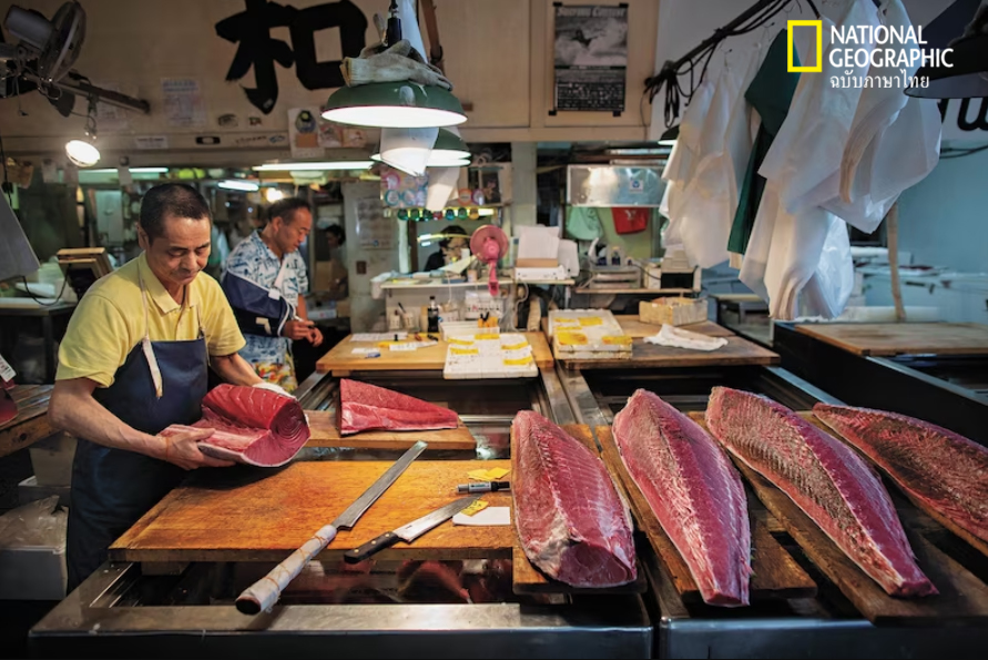 ตลาดปลาซึคิจิ, โตเกียว, ตลาดปลา, ตลาดอาหาร