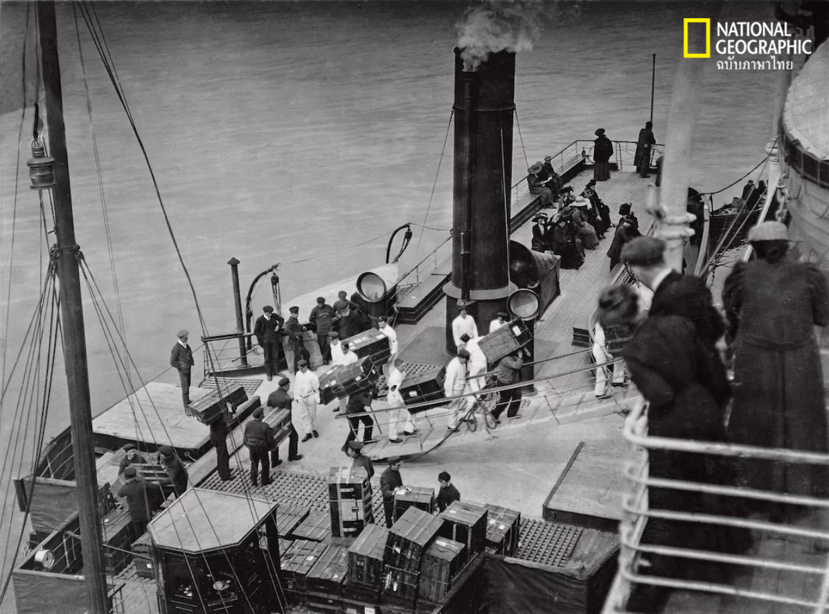 ไททานิค