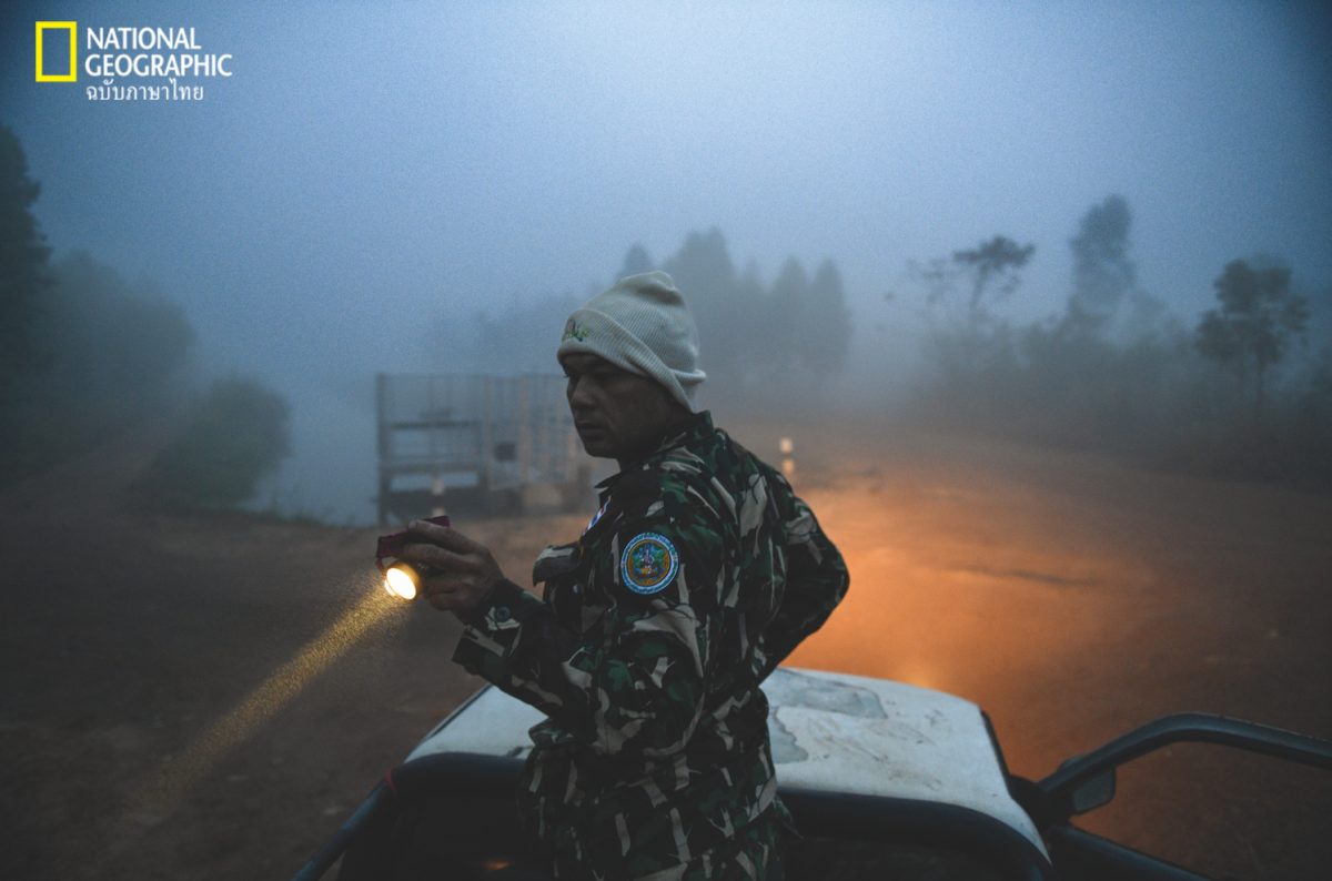 ช้างป่า, เจ้าหน้าที่อนุรักษ์