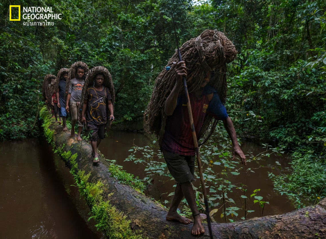 ค้าสัตว์ป่า