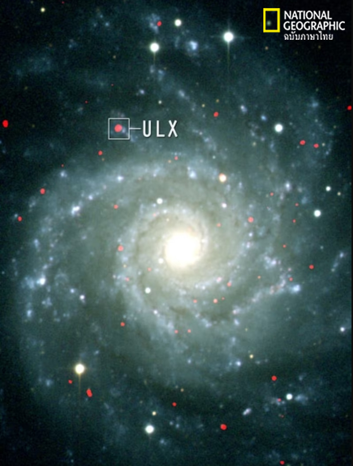 หลุมดำ, หลุมดำมวลปานกลาง