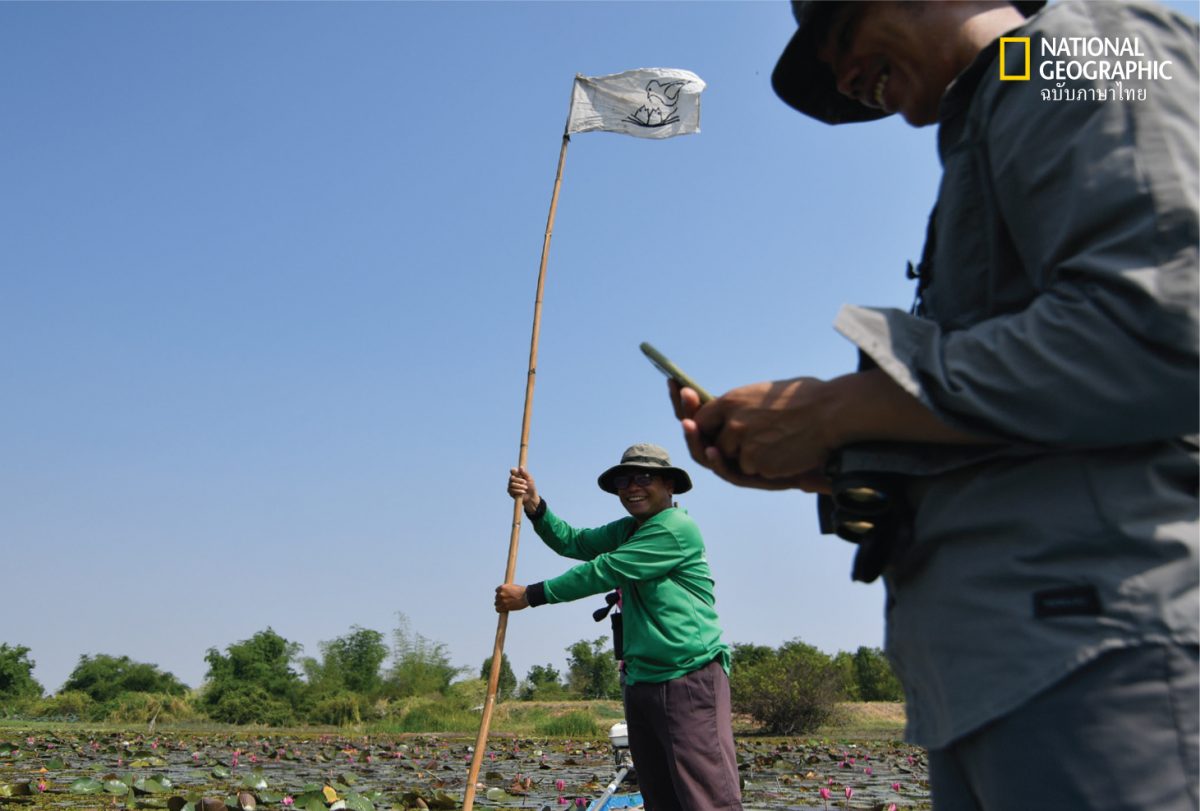 บึงละหาน ผู้ชาย เรือ ปักธง