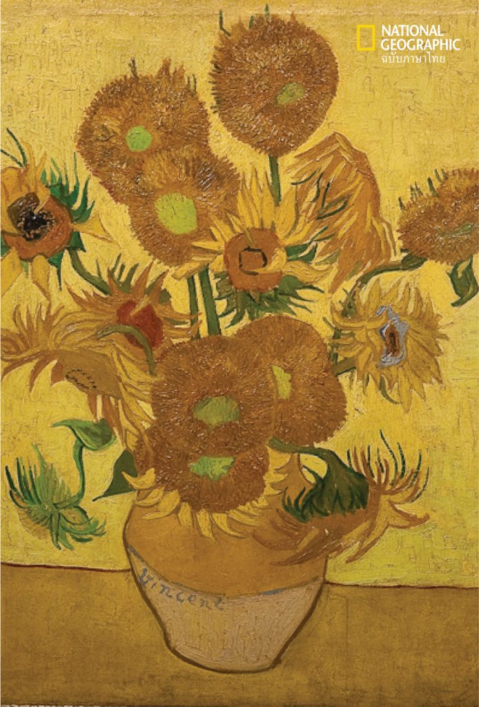sunflower vincent van gogh ดอกทานตะวัน วินเซนต์ แวนโกะห์
