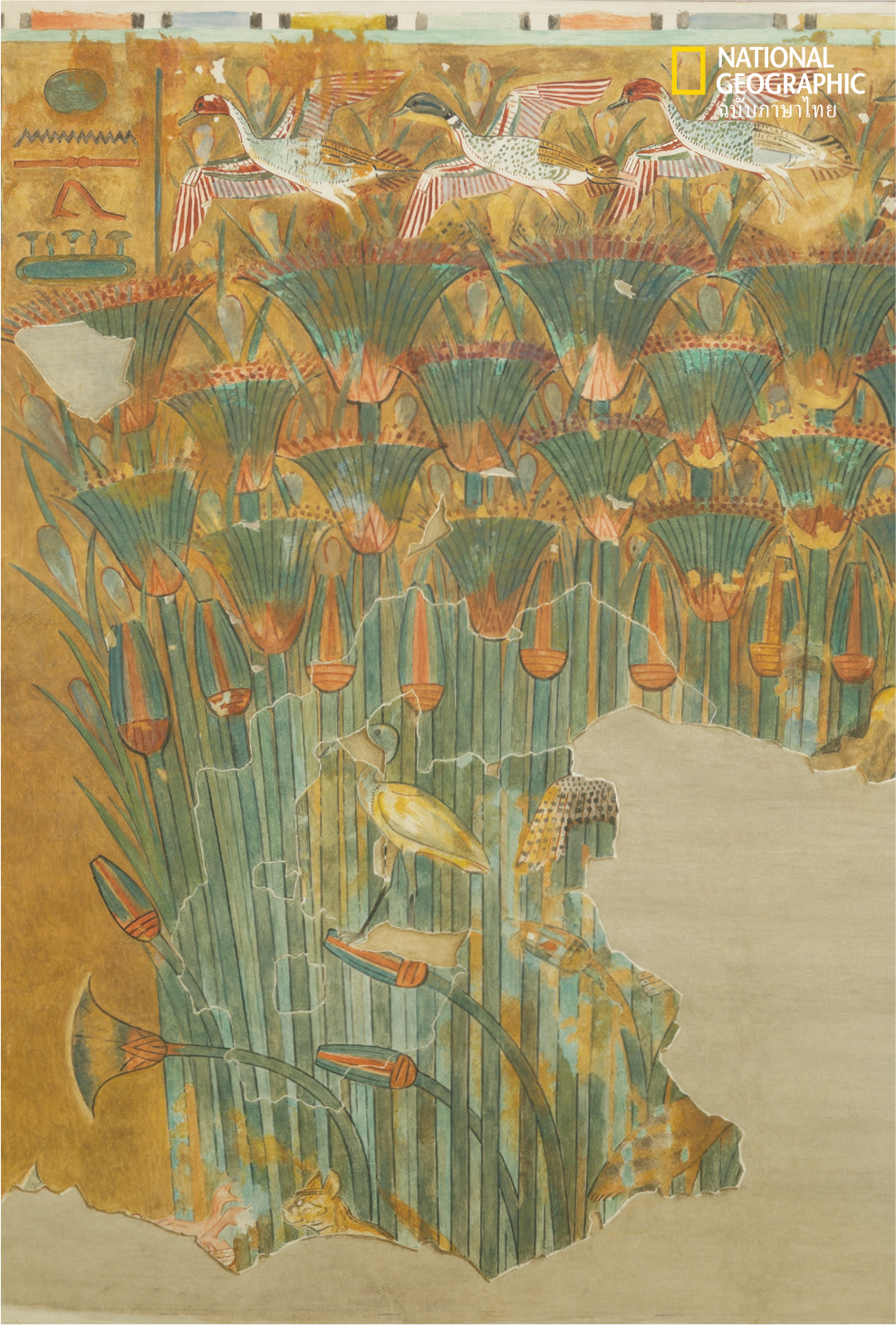 Papyrus Marsh by Hugh R. Hopgood (1914–1916)