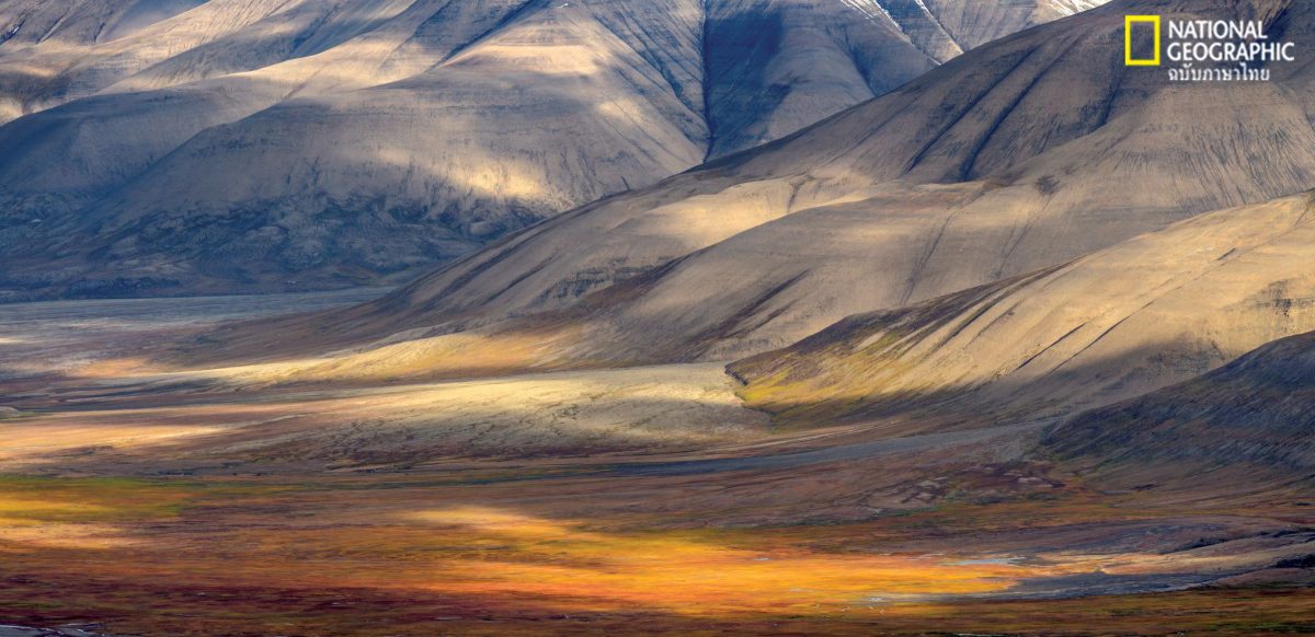 สฟาลบาร์