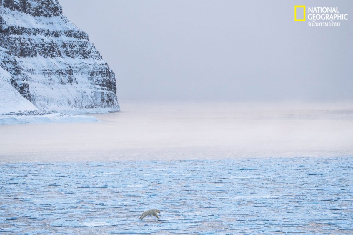 สฟาลบาร์