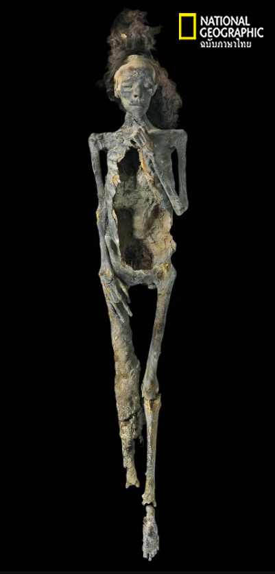 มัมมี่ฟาโรห์