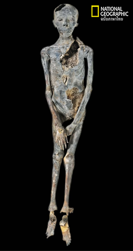 มัมมี่ฟาโรห์