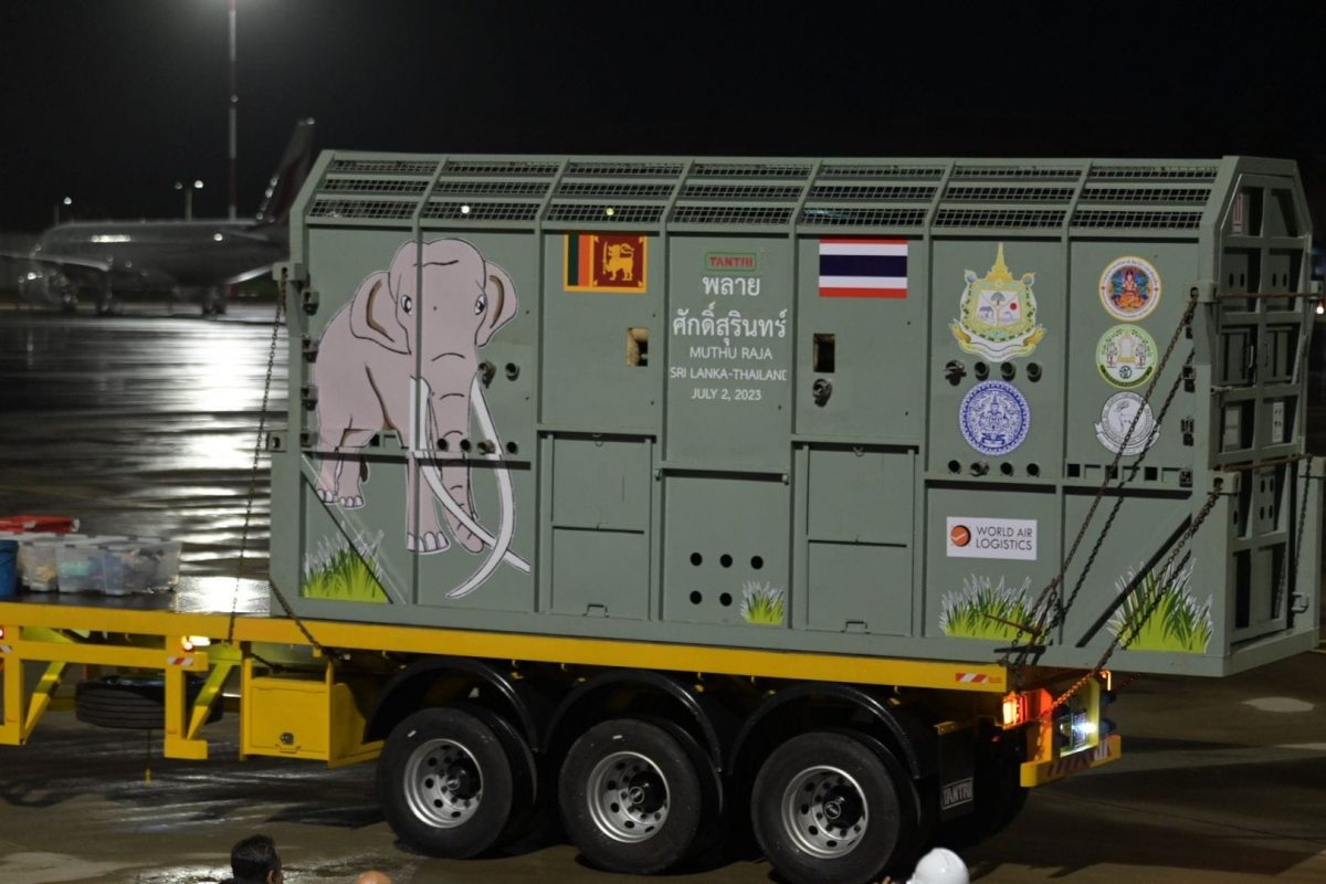 พลายศักดิ์สุรินทร์, ช้างไทย