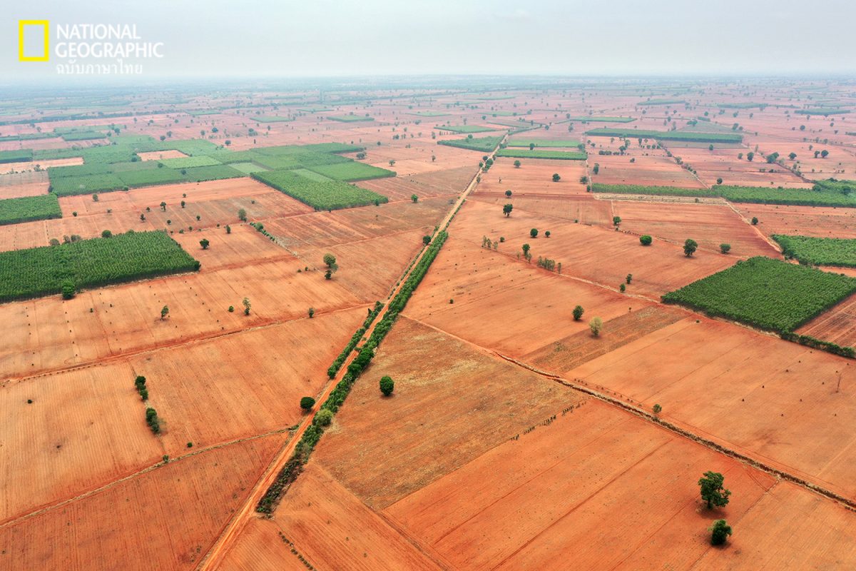 สังคมผู้สูงอายุ