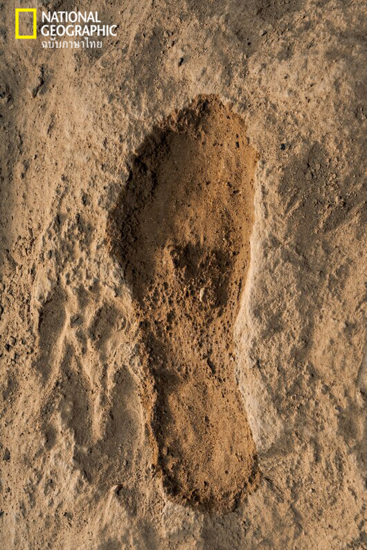 ชาวชิมู, บูชายัญ