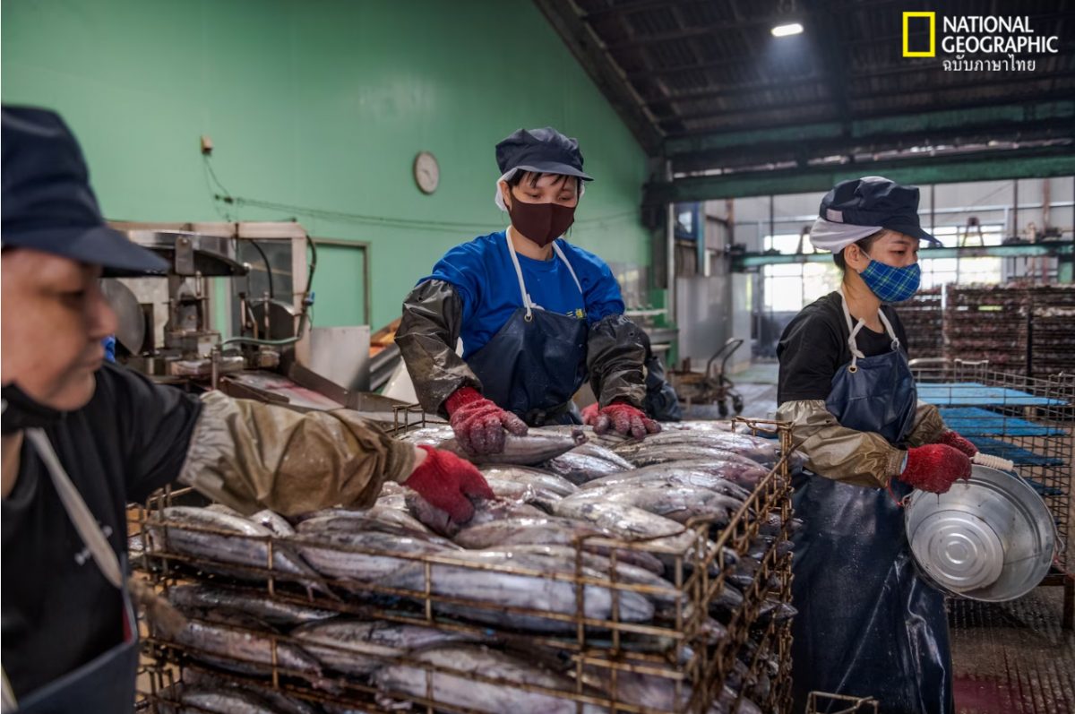 สังคมผู้สูงอายุ, ญี่ปุ่น, ตลาดปลา