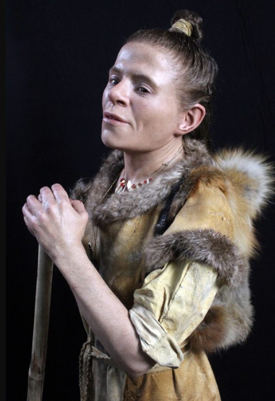 กะโหลก, ใบหน้าใหม่