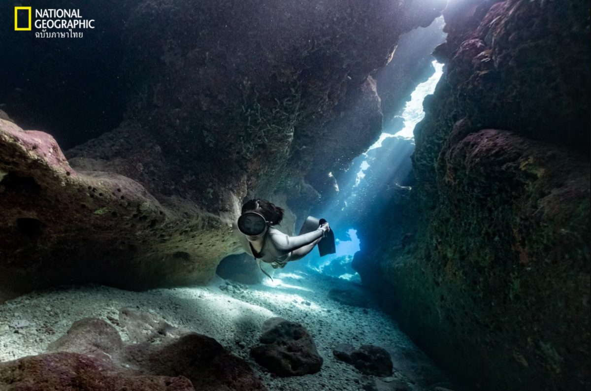 ฟรีไดฟ์, ดำน้ำ, นักดำน้ำ, ไต้หวัน