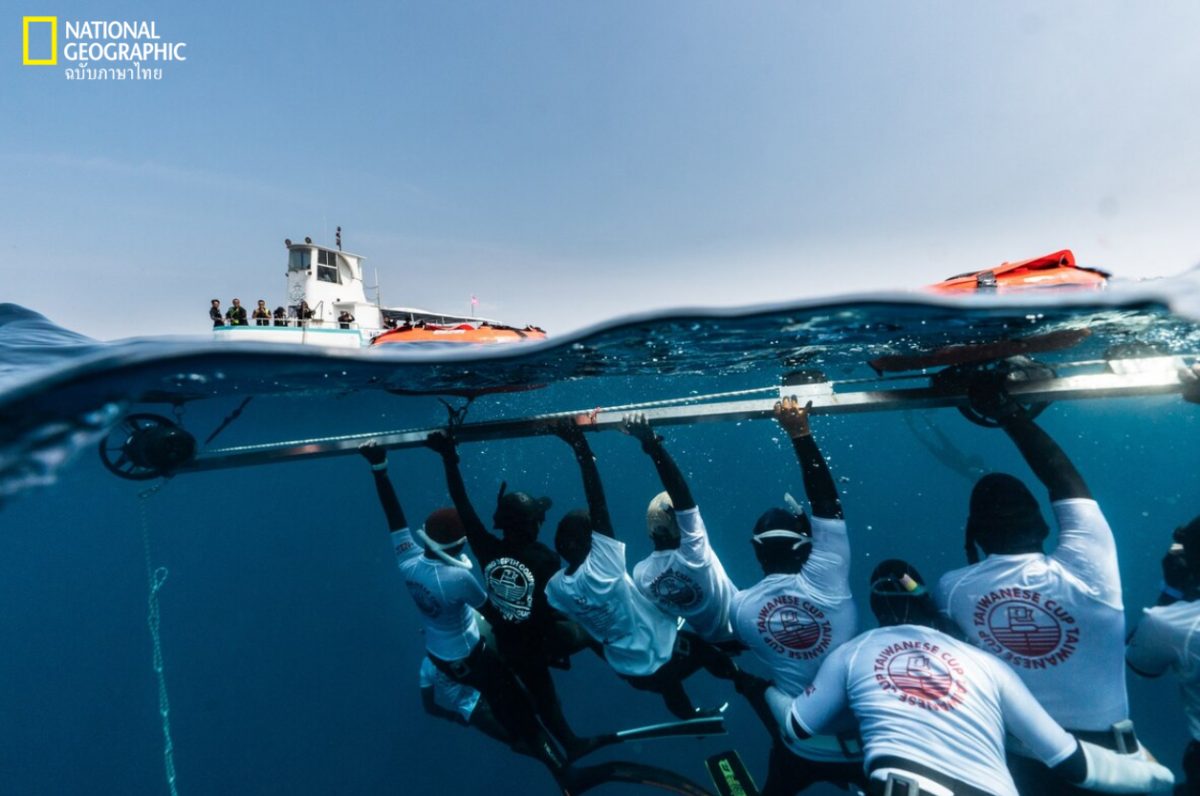 ดำน้ำ, ฟรีไดฟ์, ไต้หวัน