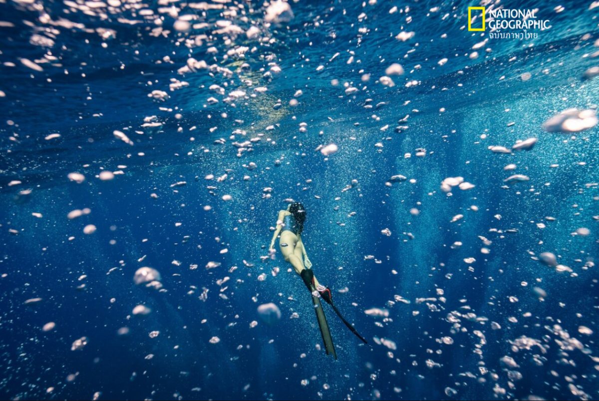 ดำน้ำ, ฟรีไดฟ์, ไต้หวัน