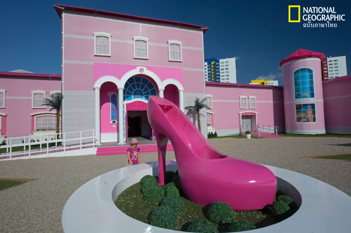 สีชมพู, บาร์บี้