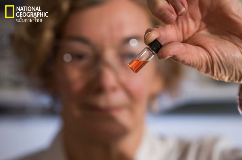 สีชมพู, หลอดทดลอง